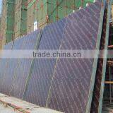 17MM Film Faced Plywood thumbnail-6