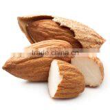 Cheap Price Wholesale Almond thumbnail-1