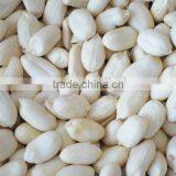 Good Quality Peanut Kernels Baisha 40/50 thumbnail-1