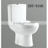 Ceramic Washdown Bathroom Two Piece Toilet