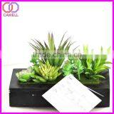Mini Artificial Succulent for Sale thumbnail-1