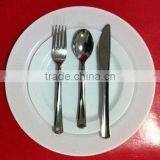 PS Disposable Plastic Plate thumbnail-1