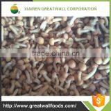 Purchase Frozen Wild Button Mushroom Price thumbnail-3