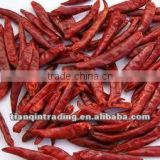 natural fresh chilli for sale