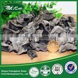 Dried Jew's Ear/ Wood Ear Mushroom/Cloud Ear Fungus thumbnail-5