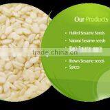 Hulled Auto Dry Sesame Seed thumbnail-1