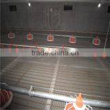 Chicken Automatic Drinker thumbnail-2