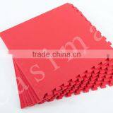 Red Gym Martial Arts Karate Judo Play Foam Floor Interlocking Mats