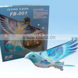 Flying E-bird thumbnail-1