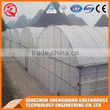 China Multifunction Plastic Greenhouse for Agricultural Farming thumbnail-3