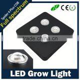 800W Unique Design Double Power Spider 4 Plus COB Led Grow Light Hydroponic Indoor Greenhouse Plant