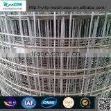Heavy Duty Wire Mesh Decking Galvanized Welded Wire Mesh