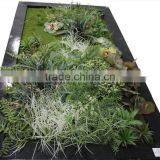 Windows Display Manufacurer (180X80cm) Artificial Supermarket Grass Wall thumbnail-2