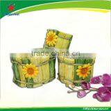 Biodegradable Grass Planter Pot