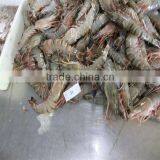 Frozen Cherry Red Shrimp thumbnail-1