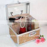 Profesion Aluminum Cosmetic Case