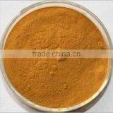 Caralluma Fimbriata Extract thumbnail-3