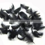 Wholesale Multicolor Decotation Goose Feather for Party and Wedding,5-8cm Import From China thumbnail-2