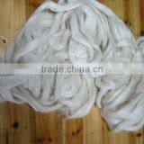 1.5D *38mm New Material Functional Aloe Fiber Plant Fiber thumbnail-1