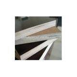 Black Film Faced Plywood thumbnail-2
