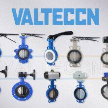 Tianjin Valteccn Valve Manufacture Co., Ltd. company overview - view 1 thumbnail