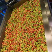 Cost-effective Automatic Popcorn Production Line thumbnail-5