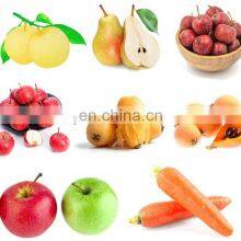 High Efficient Machine Belt Fruit Juice Extractor Fruit Belt Press thumbnail-5