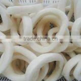 WR Frozen Illex Squid - Whole, Tube, Rings and Tentacles thumbnail-5