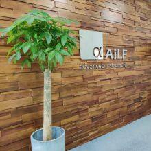 AiLF (Shandong) Instruments Co., Ltd. company overview - view 1 thumbnail