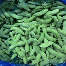 Brc Approved Fresh Organic Frozen Edamame Supplier IQF Whole Soybeans in China thumbnail-3
