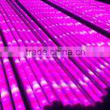 600w led grow light hydroponic growing tube rock wool cubes 4"