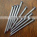 Top Quality Iron Nails Supply, Iron Nail, Common Wire Nail as Construction Material