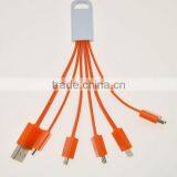 Multi-function Usb Charger Cable for IPhone 5 for IPhone 4 Micro Mini and Type c