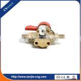 Auto Engine System Gas Precharge Valve thumbnail-1