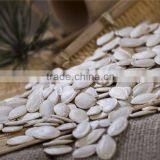 Dalian East Dawn Shine Skin Pumpkin Seeds Suppliers thumbnail-1