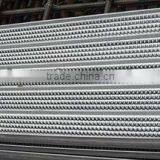 Professional Rib Lath/Expanded Metal Lath Used in Construction