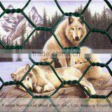 Hexagonal Wire Net (youjie Manufacturer)