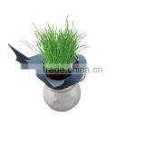 New Invented Online Party Decoration Store Cheap Birthday Favors for Kids Favor Supply