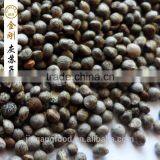 Perilla Seed for Sale thumbnail-3