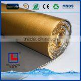 EVA With Golden Film thumbnail-2