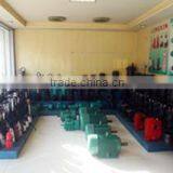 Zhejiang Lingxin Electromotor Co., Ltd. company overview - view 4 thumbnail