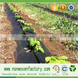 Weed Control Mat/nonwoven Fabric With UV Resistant/weed Suppressing Membrane thumbnail-5