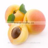 Apricot Oil (From Apricot Kernel)
