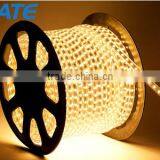 High Voltage Flexible White 120LEDs Light Strips AC220V 4W/M IP67 SMD3014