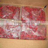 IQF Frozen Raspberry Whole With 5% Broken thumbnail-2