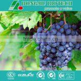 Organic Grape Seed Extract/Grape Seed Extract Powder thumbnail-1