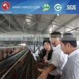 20000 Layer Farm Equipment Large Scale Automatic Project thumbnail-4