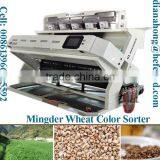 Special designed color sorter equipment/wheat color sorter manufacturer