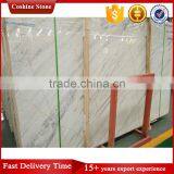 White Marble With Black Vein thumbnail-1