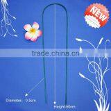 New Design Plants Growing Bamboo Sticks thumbnail-1